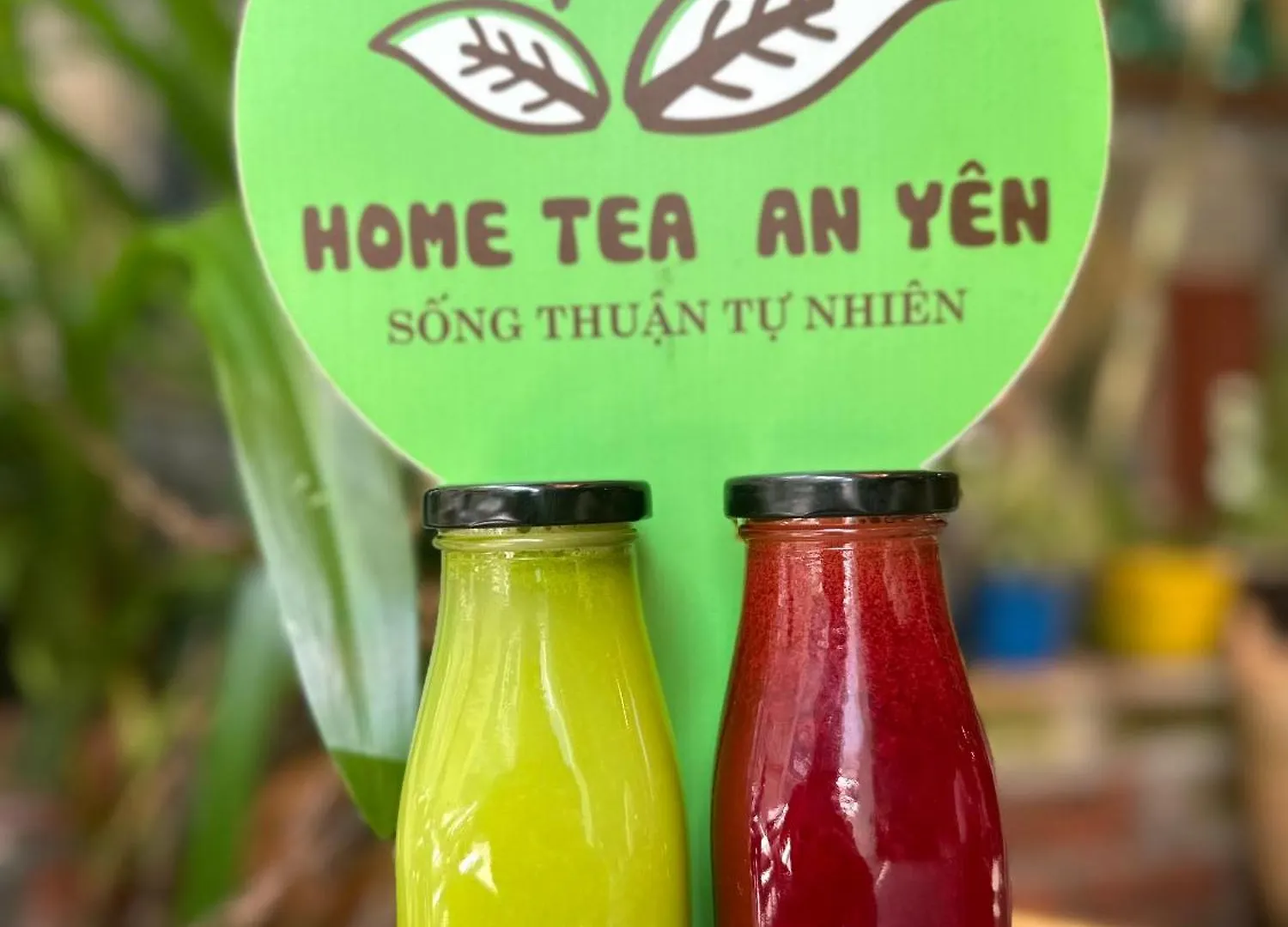 Hostel Home Tea An Yen Dorm Ho Chi Minh City
